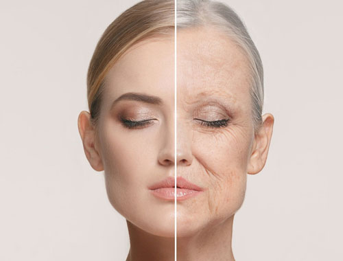 Dieta anti - aging